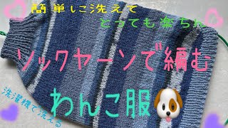 簡単に洗えるソックヤーンで編むわんこ服の編み方🐶