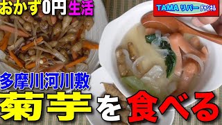 【おかず0円生活】多摩川河川敷で採取した菊芋を食べる