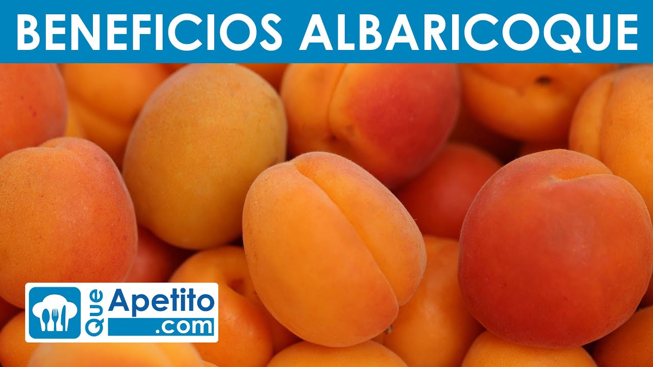 8 Propiedades Y Beneficios Del Albaricoque | QueApetito - YouTube