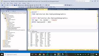 Intermediate SQL Tutorial | Updating/Deleting Data