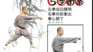 shaolin quan  lian huan quan