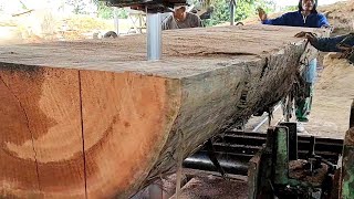 Sawmill.pengolahan kayu Meranti merah menggunakan gergaji mesin