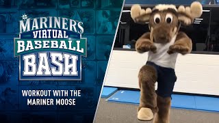 Mariner Moose Virtual Workout Session