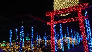 【4K】由志園 年末イルミネーション 2018年11月26日　Shimane Prefecture Matsue-city Yushien Year-end Illumination