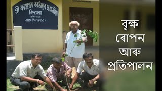 Sapling Plantation বৃক্ষ ৰোপন