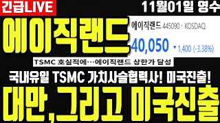 [에이직랜드] 국내유일 TSMC 가치사실 협력사! 대만에 이어 이번분기 미국진출 시작합니다 ! 디에스경제연구소 영수