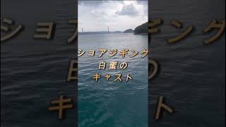 【中学生】ショアジギングキャスト#shorts