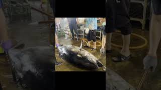 巨型蓝鳍金枪鱼极速解体，专业刀法技惊四座！Giant Bluefin Tuna Rapidly Broken Down with Expert Blade Work!