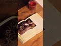 UNBOXING the novel “Mythical Creatures Bible by Brenda Rosen”