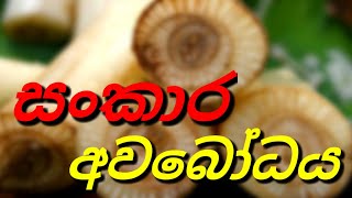 සංකාර අවබෝධය | පටිච්චසමුප්පාදය | සිත නිවන කතා | sitha niwana katha | Alawwe Anomadassi Thero