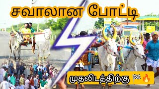 டேவீஸ்புரம் ரேக்ளா பந்தயம்/சிங்கிலிபட்டியா.....ஈச்சாந்த ஓடையா.....🫣🔥பூஞ்சிட்டு மாடு/ சுற்று-1