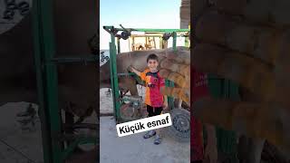 küçük esnaf #reels #çiftçi #besicilik #world #viral