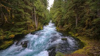 BEAUTIFUL WATER RIVER SOUNDS PEACEFUL SOUNDS OF FALLING INTO DEEP SLEEP FOR SLEEPING, STUDYING