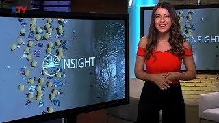 Insight to Israel - Jan. 20, 2019