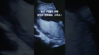 [#바베파파 1분육아] 임신 4개월차 변화 입덧이 완화돼요, 그리고..!