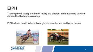 Bleeding & Airway Support in Horses - Stride Animal Health