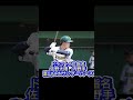 2024年阪神タイガースドラフト指名選手一覧　＃shorts