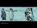 march of the penguins official trailer 1 2005 hd