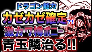 【ワンピース 最新話予想】青玉鱗は治る！ボニーと戦桃丸！未来の戦士達！(予想妄想)