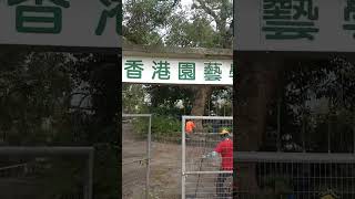 香港園藝學會與香港樹藝師學會協辦之園地樹木及園藝修剪培訓