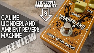 AWESOME Budget PEDAL | Caline CP-508 WONDERLAND Ambient Reverb | VIDEO REVIEW [NO TALK]