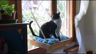 DIY Cat Window Perch