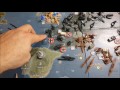 axis and allies global 1940 variant setup global 1942 first look