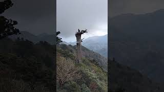 20241210太鼓岩、屋久島Taiko Rock.Yakushima, Japan Kagoshima.-12