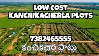 Low cost plots for sale in Kanchikacherla|Kanchikacherla low budget plots|plots near chennaraopalem