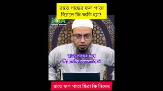 রাতে গাছের ফল ছিরলে কি অমঙ্গল হয়? শাইখ আহমাদুল্লাহ