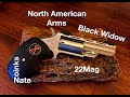 NAA Black Widow 22 Mag