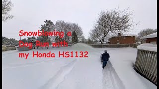 Snowblowing Finale. Honda HS1132 blowing a dog run thru 30\