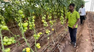 40फूट उंच टोमॅटो भारतातील सगळ्यात मोठे प्रदर्शन कृषिक 2022 पीक प्रात्यक्षिक बारामती.KRUSHIK 2022