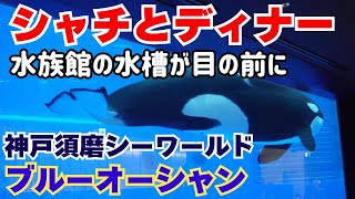 シャチを眺めながらディナー！まるで海の中みたい！神戸須磨シーワールドのオルカスタディアム！【大阪生活】