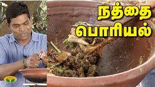 நத்தை பொரியல் | Snail Fry in Village Style | Adupangarai | Jaya TV