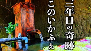 【このいかふぇ】現代の奇跡降臨！ありえないことが起こっちゃいました！200gビーフシチューも登場！「このい三周年目の奇跡」#古民家カフェ#湧水#このいかふぇ#月崎＃奇跡＃ビーフシチュー＃キハ＃上総掘り