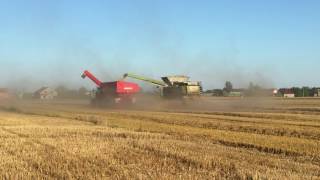 CLAAS LEXION 770 Claas VARIO 1050 Heder + wóz przeładunkowy HORSCH