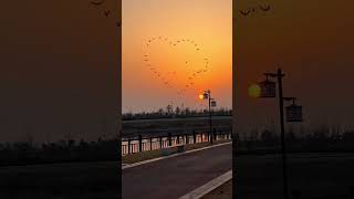 THAA - VARINDER BRAR (Official Video) | Latest Punjabi Songs 2023 | New Punjabi Song 2023