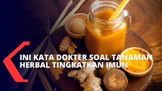 Ini Penjelasan Dokter Terkait Tanaman Herbal yang Bisa Meningkatkan Imunitas