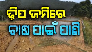 ଢ଼ିପ ଜମିରେ ପାଣି ସୁବିଧା | Dhipa jami re pani subidha | Tips for facilitating irrigation in upland