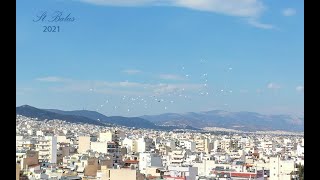 ΣΤ.ΒΑΛΑΣ.ΤΟ ΜΕΡΑΚΙ ΜΟΥ 5 ΣΥΛΛΕΚΤΙΚΕΣ ΕΚΚΙΝΗΣΕΙΣ ΚΑΙ 1 ΕΠΙΣΤΡΟΦΗ ΤΕΛΟΣ ΣΕΖΟΝ 2021.4Κ