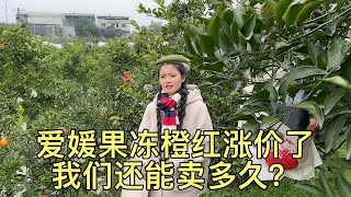 跨国夫妻来外地卖水果，产地果子疯狂涨价，为何他们却很开心？