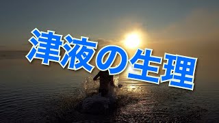 ゆるっと学ぶ東洋医学概論　第35回　津液の生理