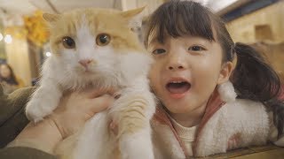 [ENGSUB] 🐱고양이 카페에 놀러간 쌍둥이들~♡ Kids went to a cat cafe to play  [뚜아뚜지TV]