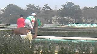 【ゴットフリート＆田辺裕信騎手】本馬場入場｜若潮賞（4歳上1000万以下）’2015｜中山競馬場