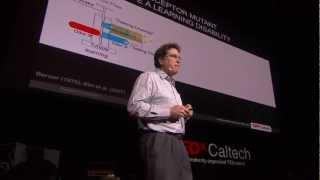 Drugs, dopamine and drosophila -- A fly model for ADHD? | David Anderson | TEDxCaltech