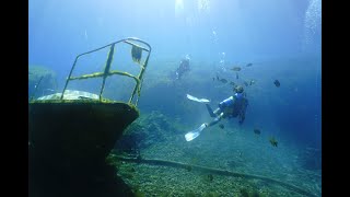 Vortex Springs In 4k!!! Night dive, Sunken sailboat, Eels and more!!