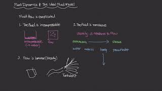 The Ideal Fluid Model [Physics of Fluid Mechanics #39]