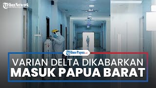 Beredar Kabar 12 Varian Delta Masuk Papua Barat, Satgas Covid-19 Sebut Belum Dapat Informasi Resmi