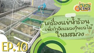 เครื่องแช่น้ำร้อนเพื่อกำจัดแมลงวันผลไม้ในมะม่วง | เกษตร in Science | EP.10